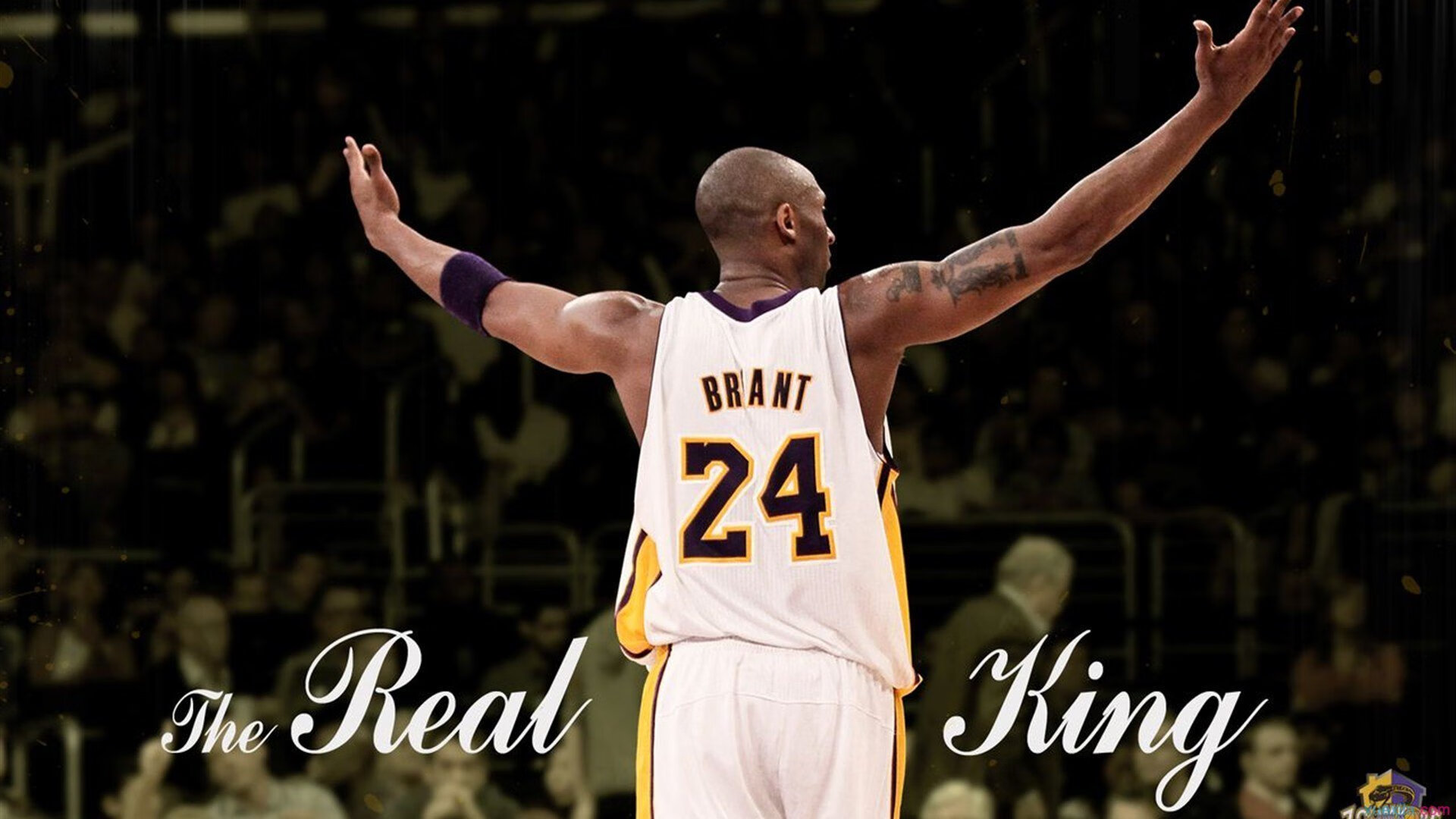 爱游戏官方-篮网训练营中外援与本土球员配合渐入佳境，篮网公开训练营合照